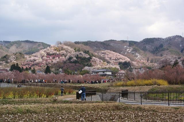 Hanamiyama Park